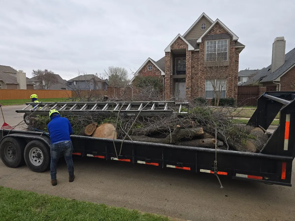 Expert Crown Reduction with proper safety equipment in Harlingen